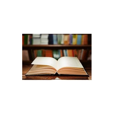 Libro Abogado de Familia